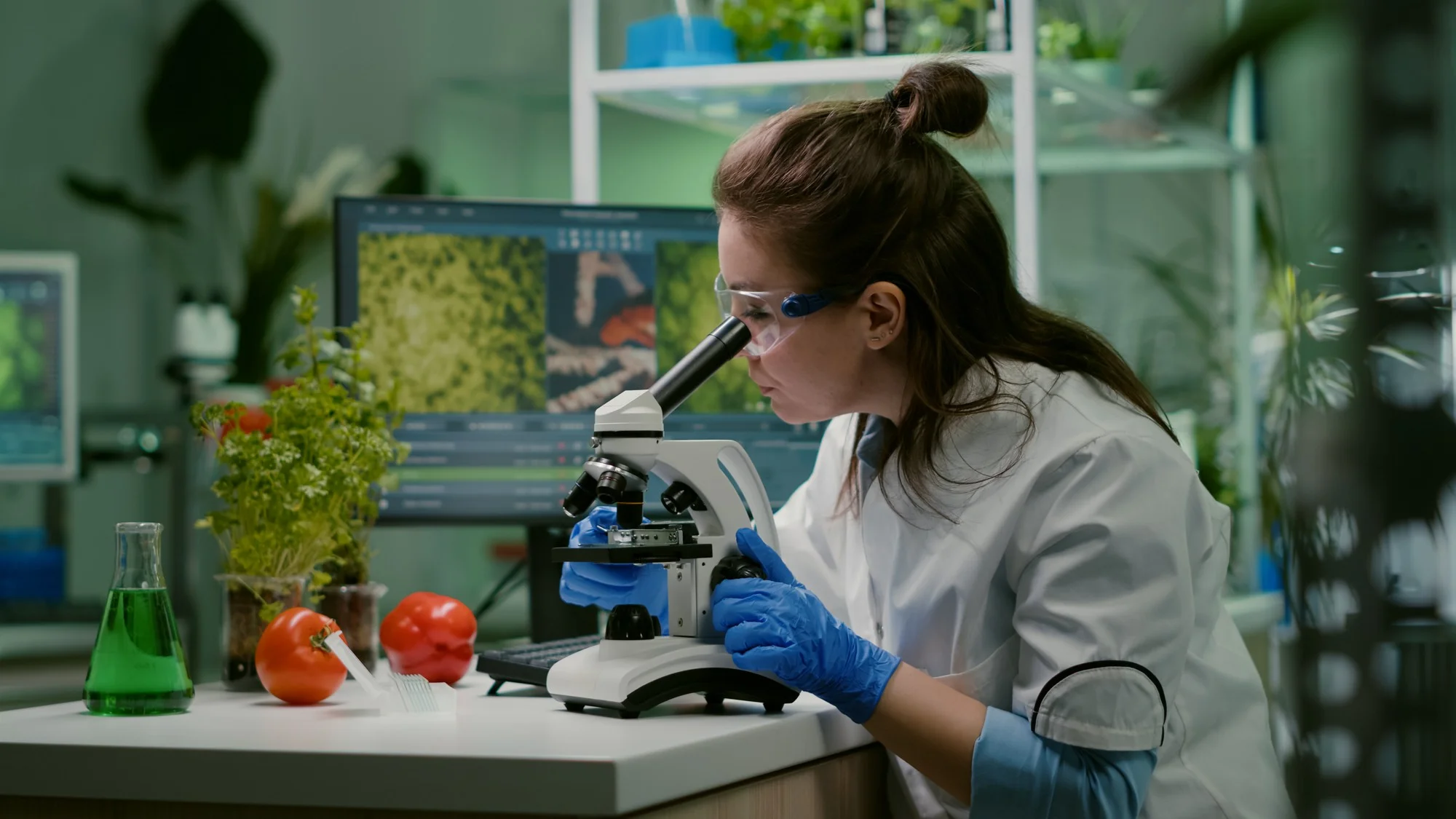Environmental Research 